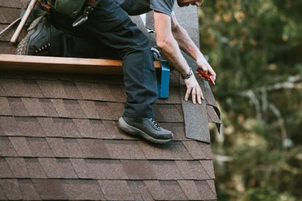 Best Roof Leak Repair  in Greenvle, IL