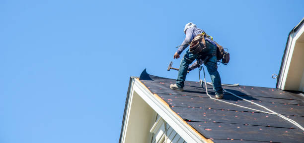 Roof Gutter Cleaning in Greenville, IL